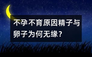 不孕不育原因：精子與卵子為何無緣？