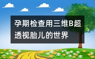 孕期檢查：用三維B超透視胎兒的世界