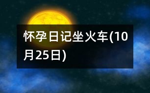 懷孕日記：坐火車(10月25日)