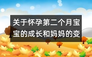 關(guān)于懷孕第二個月寶寶的成長和媽媽的變化