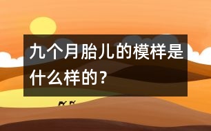 九個月胎兒的模樣是什么樣的？