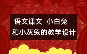  語文課文  小白兔和小灰兔的教學(xué)設(shè)計