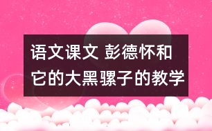 語文課文 彭德懷和它的大黑騾子的教學設計 課后習題答案