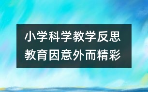 小學(xué)科學(xué)教學(xué)反思 教育因意外而精彩