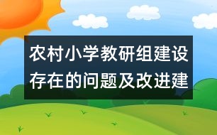 農(nóng)村小學(xué)教研組建設(shè)存在的問題及改進(jìn)建議