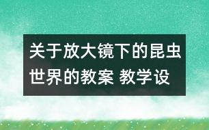 關于放大鏡下的昆蟲世界的教案 教學設計 新教科版六年級下冊科學教案