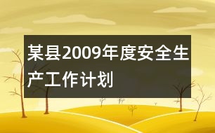 某縣2009年度安全生產(chǎn)工作計(jì)劃