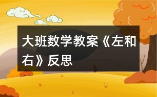 大班數(shù)學教案《左和右》反思