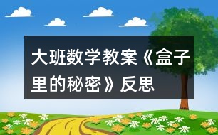 大班數(shù)學教案《盒子里的秘密》反思