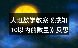 大班數(shù)學(xué)教案《感知10以內(nèi)的數(shù)量》反思