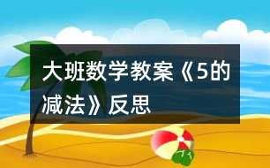 大班數(shù)學教案《5的減法》反思