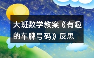 大班數學教案《有趣的車牌號碼》反思