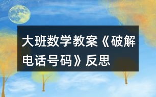 大班數(shù)學教案《破解電話號碼》反思