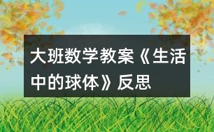 大班數學教案《生活中的球體》反思