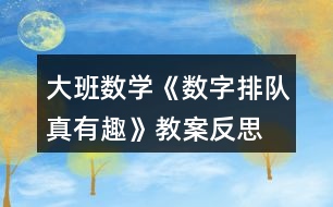 大班數(shù)學(xué)《數(shù)字排隊真有趣》教案反思