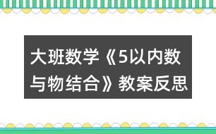 大班數(shù)學《5以內(nèi)數(shù)與物結(jié)合》教案反思