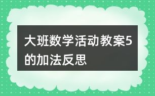 大班數(shù)學(xué)活動(dòng)教案5的加法反思