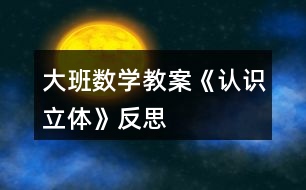 大班數學教案《認識立體》反思