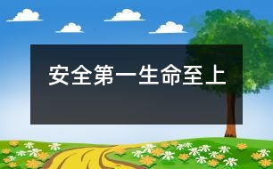 安全第一,生命至上