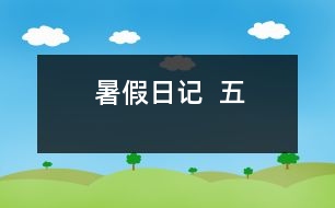 暑假日記  五