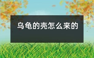 烏龜?shù)臍ぴ趺磥淼?></p>										
													 烏龜?shù)臍ぴ趺磥淼?/p>           江蘇省南京 力學小學一（四）班 李盛楠</p>          </p>                  從前，地球上只有一只烏龜，它沒有殼。<br>    有一天，它遇見了一只老虎，老虎想吃掉烏龜，烏龜?shù)纛^就跑，可是已經晚了。老虎追上來剛要抓住它，烏龜急忙躲進一個殼里，老虎抓住那個殼，咬也咬不動，老虎只能垂頭喪氣地走了?？墒?，烏龜想出來也出不來了，過了很久，烏龜?shù)臍ぷ冃瘟恕：髞?，它生的孩子也成這模樣了。<br>    從此以后，烏龜有了一個保護殼。						</div>
						</div>
					</div>
					<div   id=