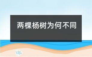 兩棵楊樹(shù)為何不同