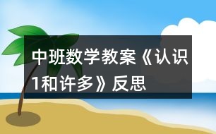 中班數(shù)學(xué)教案《認識1和許多》反思