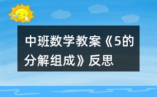 中班數(shù)學(xué)教案《5的分解組成》反思