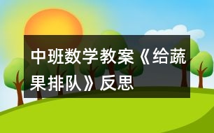 中班數(shù)學(xué)教案《給蔬果排隊》反思