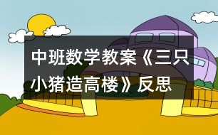 中班數(shù)學教案《三只小豬造高樓》反思