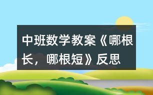 中班數(shù)學(xué)教案《哪根長(zhǎng)，哪根短》反思