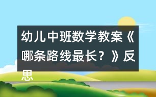 幼兒中班數(shù)學(xué)教案《哪條路線最長？》反思