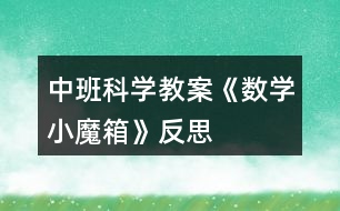 中班科學教案《數(shù)學小魔箱》反思