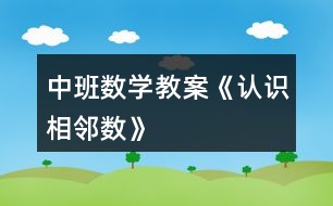 中班數(shù)學(xué)教案《認(rèn)識相鄰數(shù)》