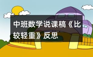 中班數(shù)學說課稿《比較輕重》反思