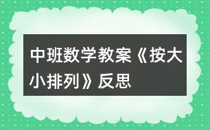 中班數(shù)學教案《按大小排列》反思