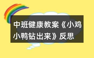 中班健康教案《小雞小鴨鉆出來》反思