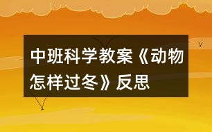 中班科學教案《動物怎樣過冬》反思