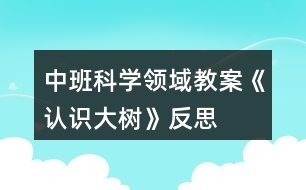 中班科學領域教案《認識大樹》反思