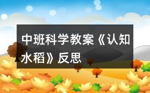 中班科學教案《認知水稻》反思