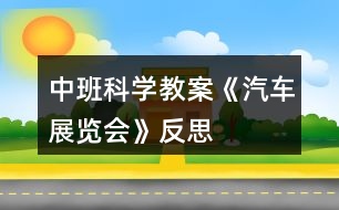 中班科學(xué)教案《汽車(chē)展覽會(huì)》反思