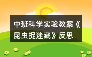 中班科學(xué)實(shí)驗(yàn)教案《昆蟲(chóng)捉迷藏》反思