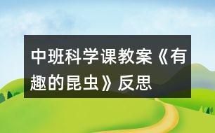 中班科學課教案《有趣的昆蟲》反思