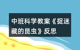 中班科學(xué)教案《捉迷藏的昆蟲》反思