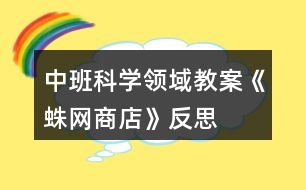 中班科學(xué)領(lǐng)域教案《蛛網(wǎng)商店》反思