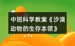 中班科學(xué)教案《沙漠動(dòng)物的生存本領(lǐng)》