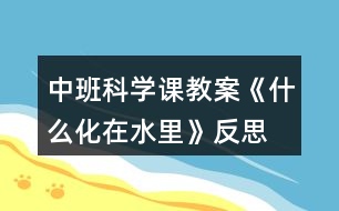 中班科學課教案《什么化在水里》反思