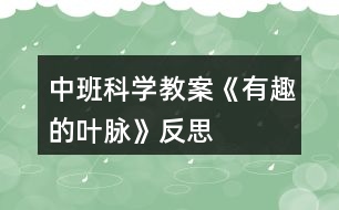 中班科學教案《有趣的葉脈》反思