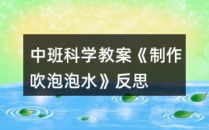 中班科學教案《制作吹泡泡水》反思