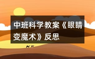 中班科學(xué)教案《眼睛變魔術(shù)》反思